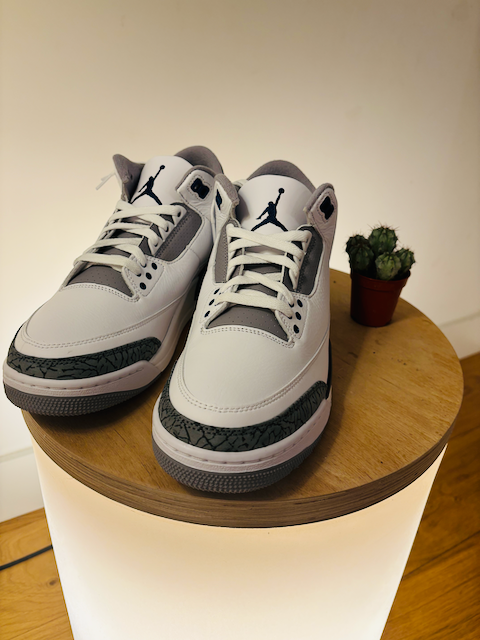 Jordan 3 drawing online